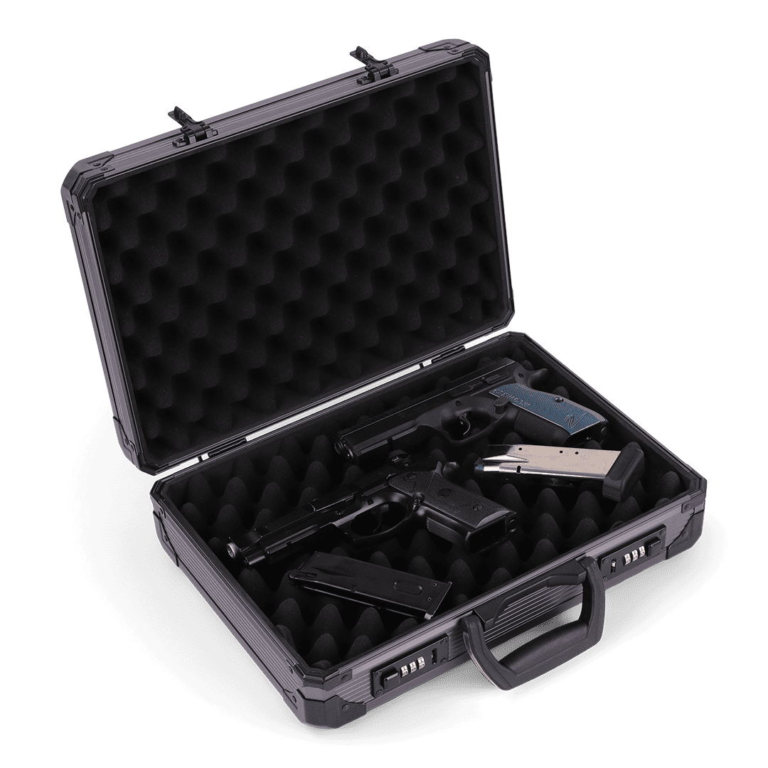 Pistol Case 38cm | 2 Pistols