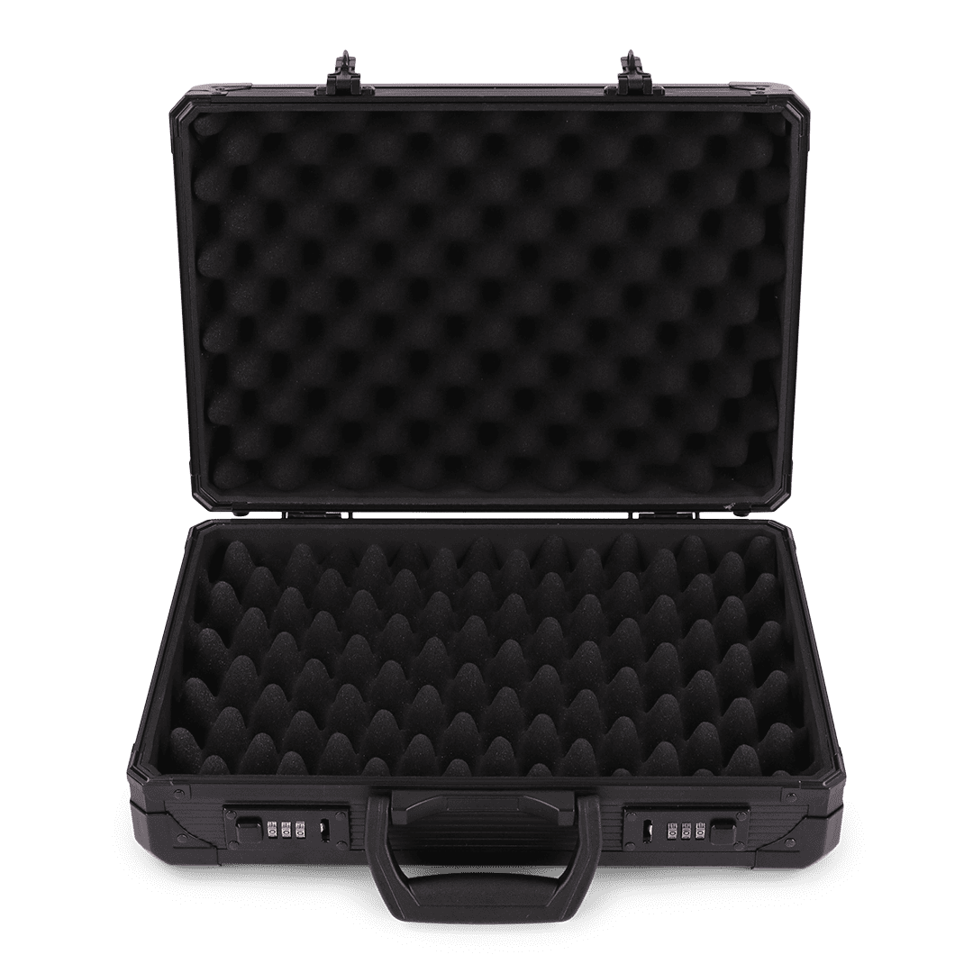 Pistol Case 38cm | 2 Pistols