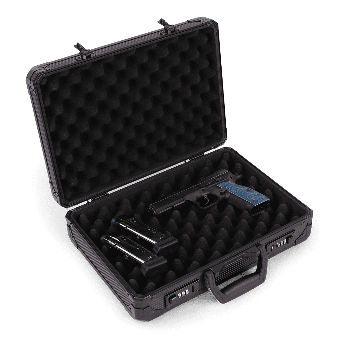 Pistol Case 38cm | 2 Pistols