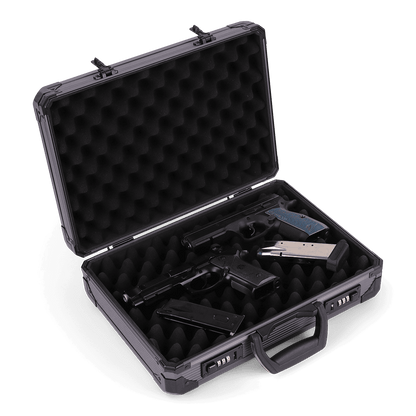 Pistol Case 38cm | 2 Pistols