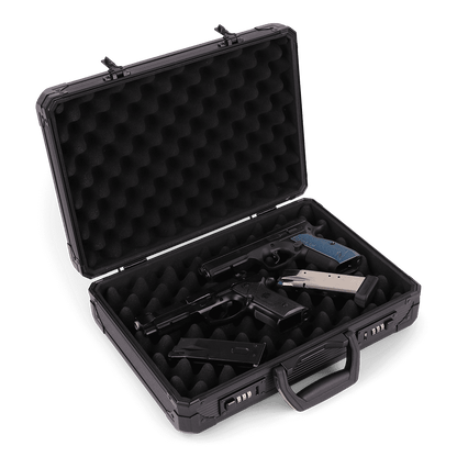 Pistol Case 38cm | 2 Pistols